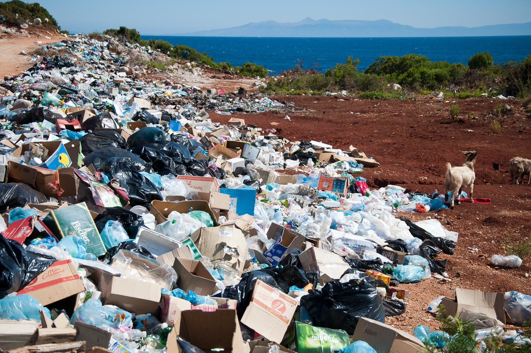 large garbage patch with package waste near ocean