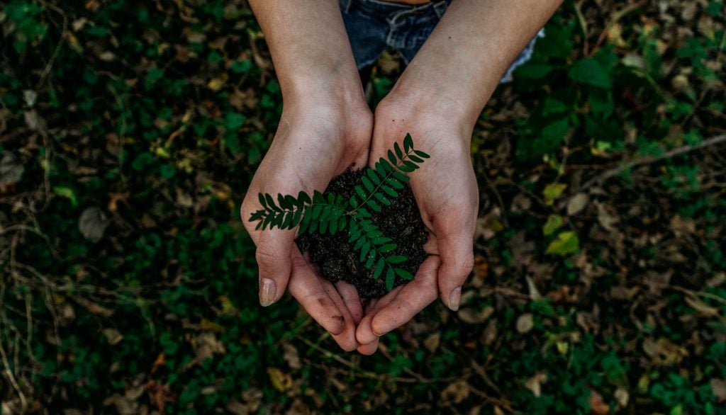 hands-holding-dirt-nature-1024x586